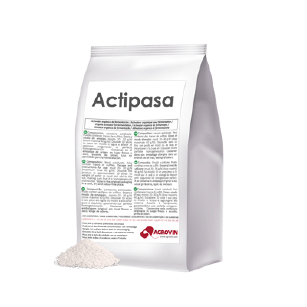 ACTIVATOR FERMENTARE ACTIPASA 1KG