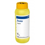 Fungicid SCALA - 1 Litru, BASF, Contact, Putregaiul Cenusiu, Rapan