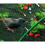 Plasa pentru pasari 4x20 m