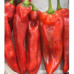 Seminte Ardei lung fermier 50gr