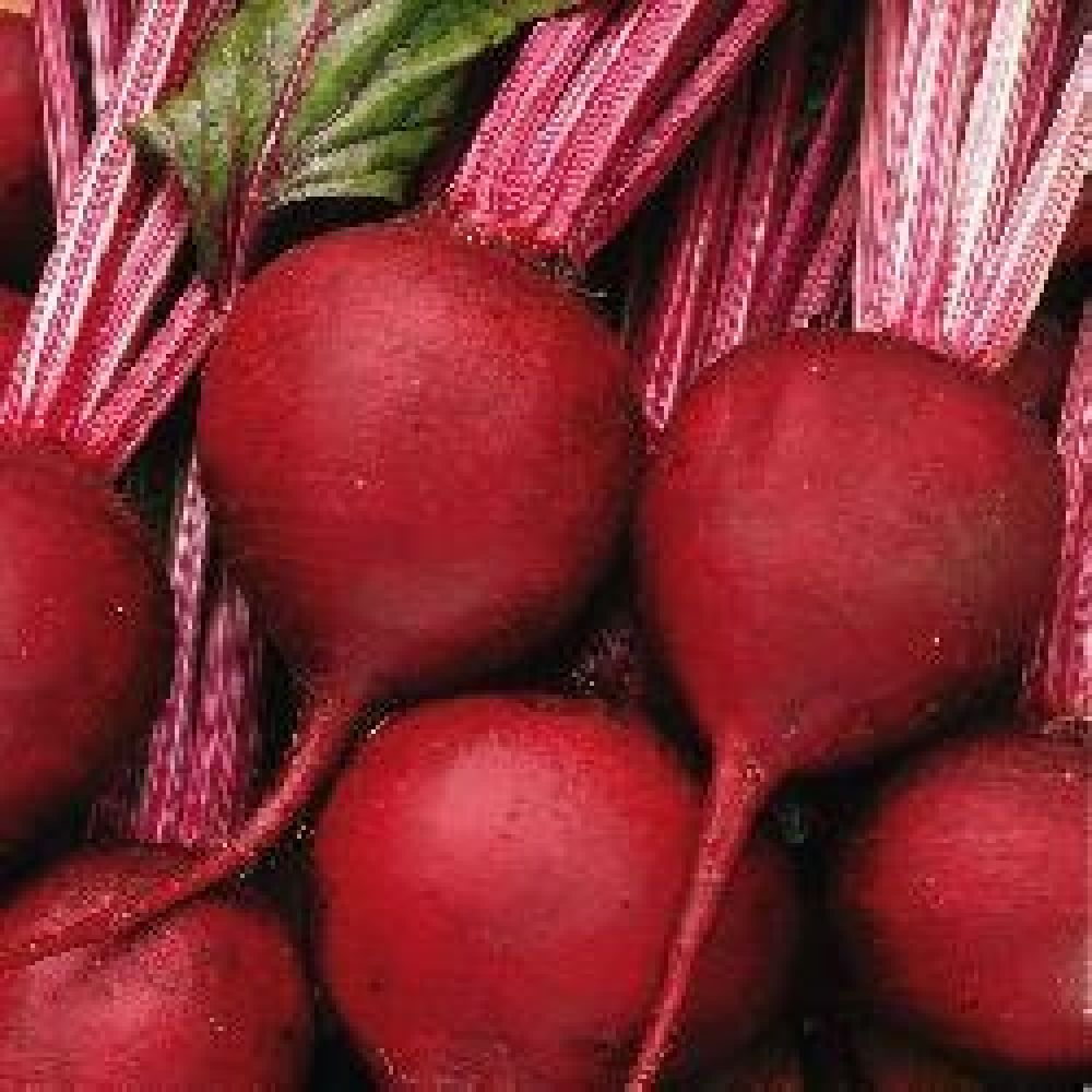 Seminte sfecla rosie Detroit PPZ 500 GR