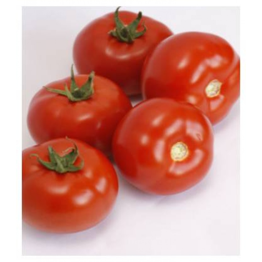 Seminte tomate Alamina F1 100 sem
