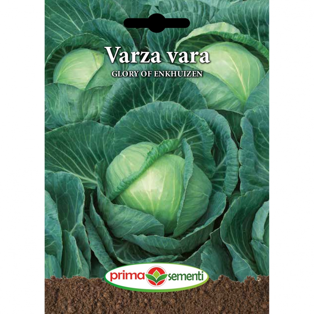 Seminte varza vara Glory Of Enkhuizen, 50 gr, Prima Sementi